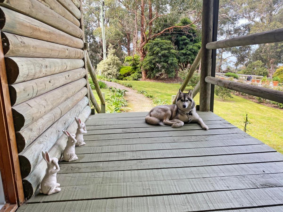 Lorne Groovy Ocean View Log House, Pet Friendly, Free Wifi Wine & Chocolates Kangaroos In The Evening Villa Exterior photo